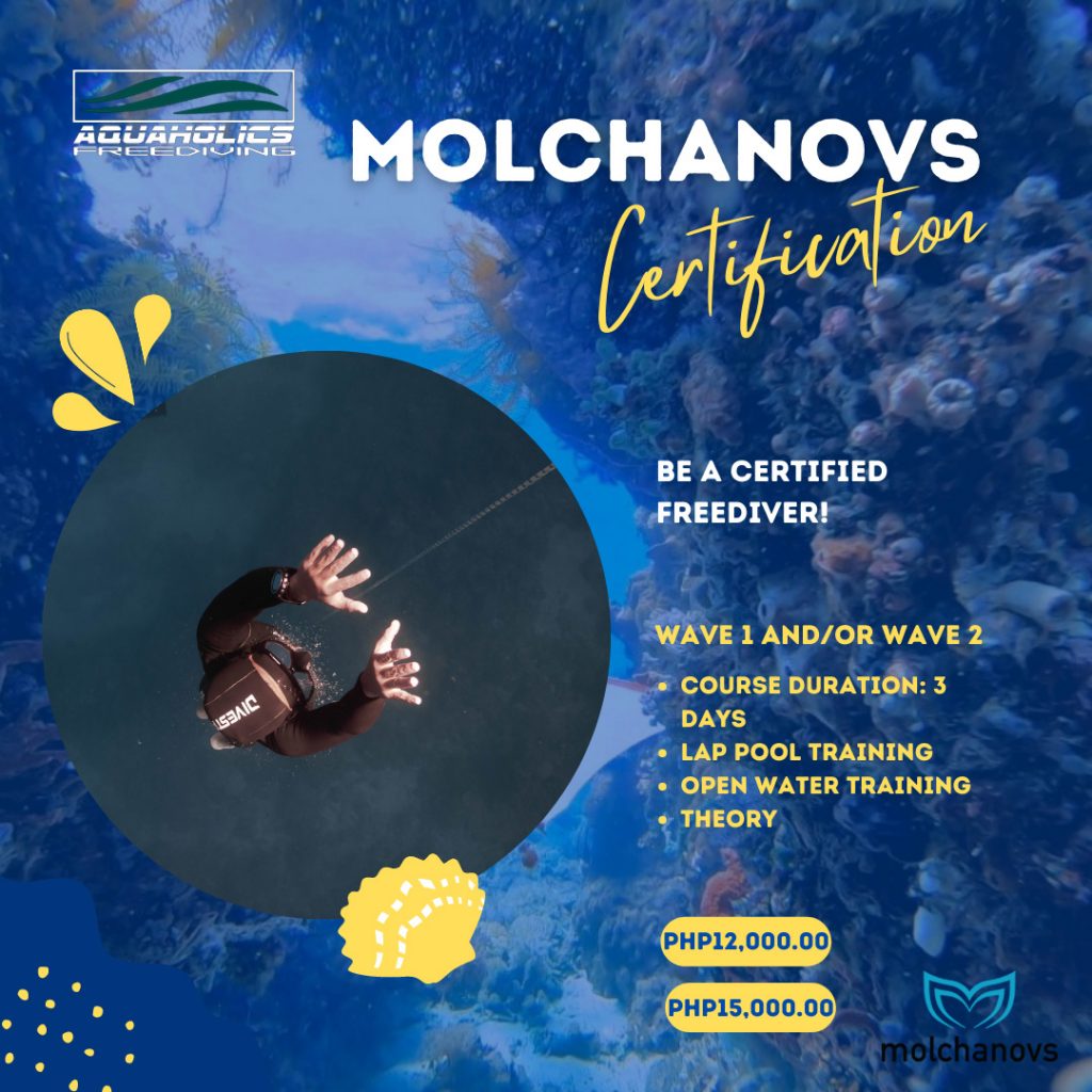 Molchanovs Wave Certification