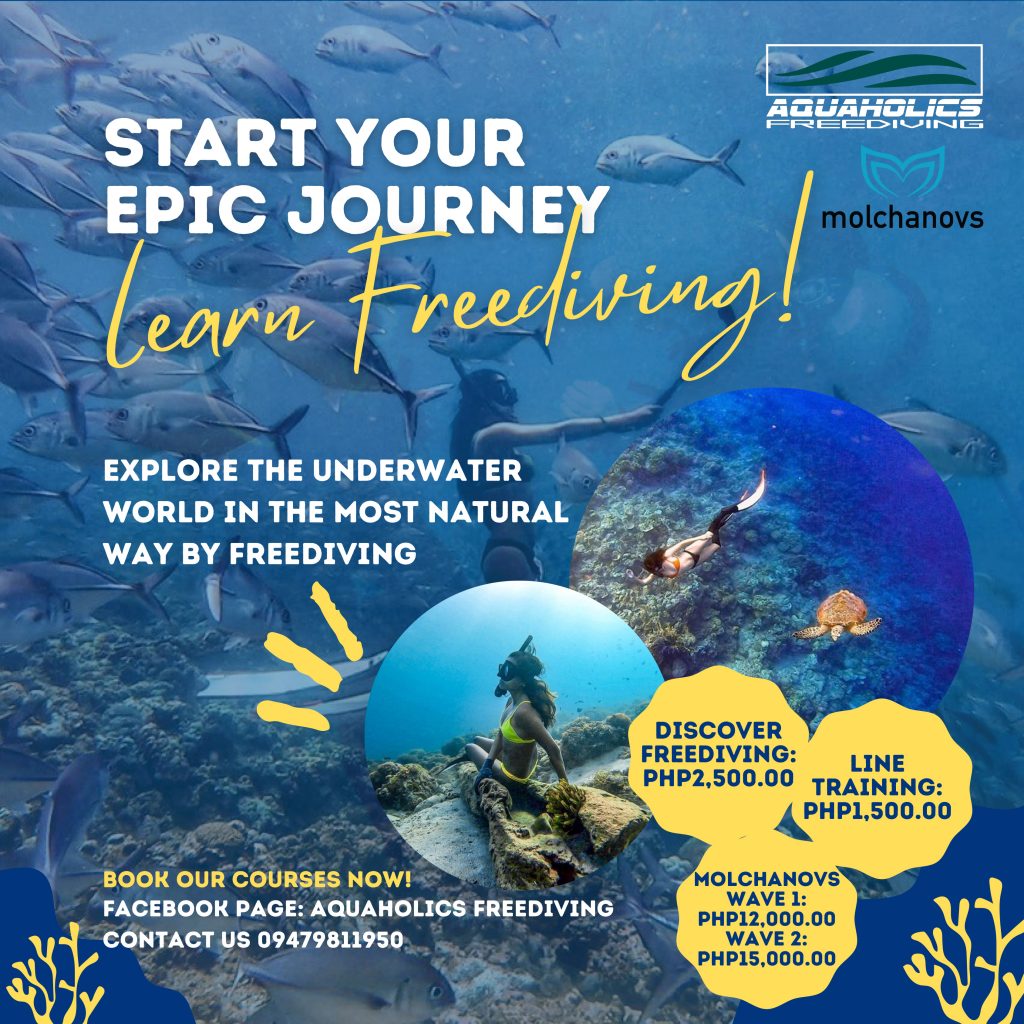 Aquaholics Freediving Course Rates